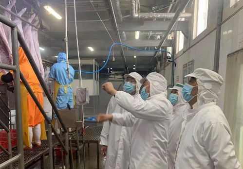河南省农业农村厅领导到内乡县验收生猪屠宰标准化示范厂创建工作